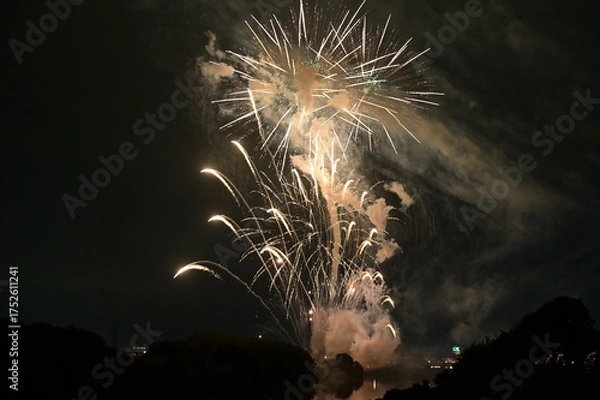 Obraz 夜空を彩る花火