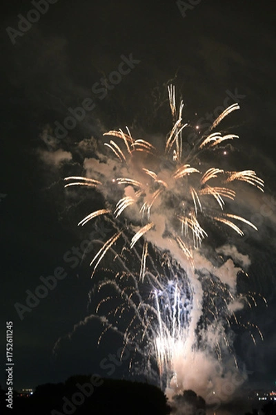 Obraz 夜空を彩る花火