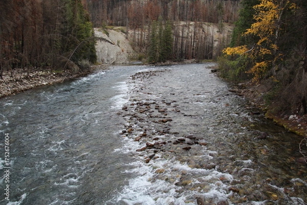 Fototapeta Autumn Along Maligne River, Jasper National Park, Alberta