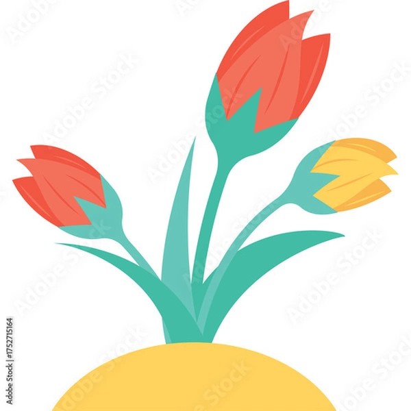 Fototapeta Three Blooming Flowers Coral Red and Yellow With Green Stems Growing From Yellow Ground Against Transparent Background Flat Design Style