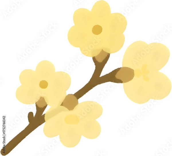 Obraz 겨울납매꽃가지_따뜻한감성일러스트