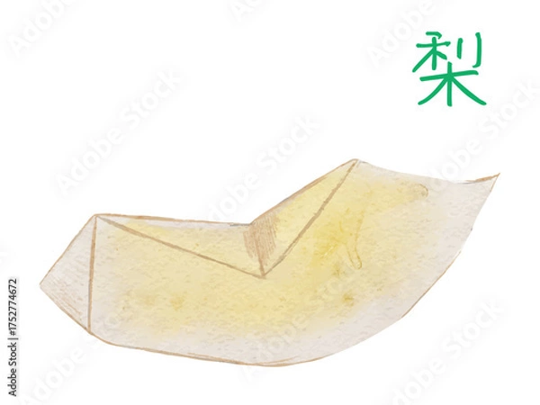 Obraz 水彩で描いた冬の果物新鮮な梨　食材の水彩ベクターイラスト素材