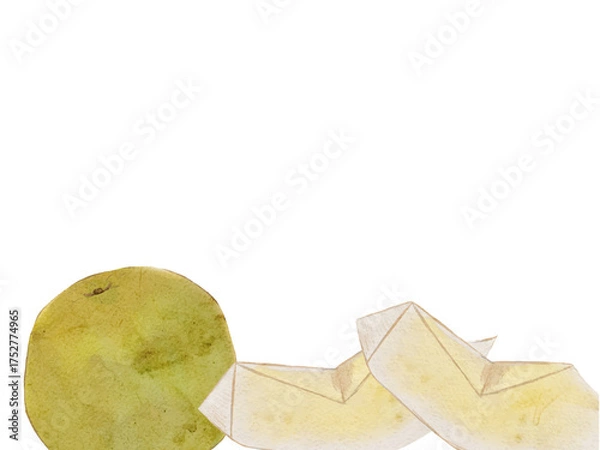 Obraz 水彩で描いた冬の果物新鮮な梨　食材の水彩ベクターイラスト素材