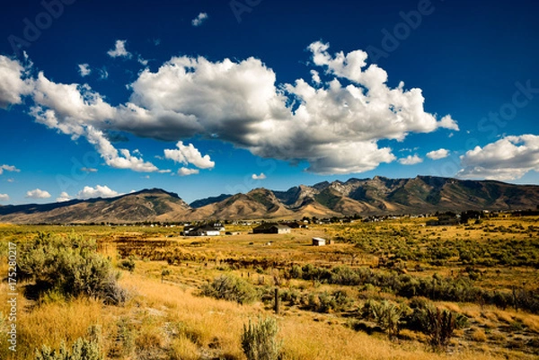 Obraz Spring Creek Nevada