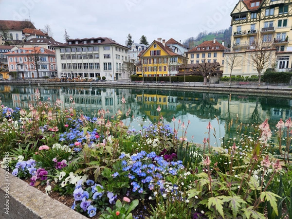 Fototapeta A lakeside town with the Aare River flowing through it. The city centre has old buildings and a picturesque wooden bridge. The highlight in the picture is the colorful flower beds. Thun, Switzerland.