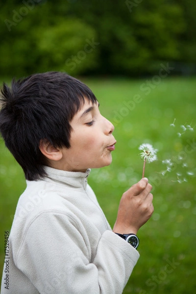 Obraz child and dandelion