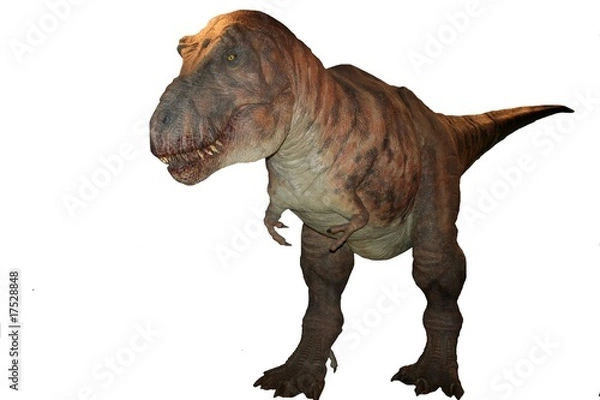 Obraz T-rex