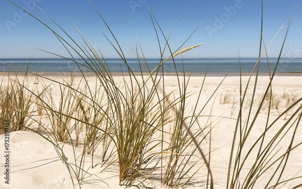 Obraz sand dunes on the beach, Baltic sea landscape