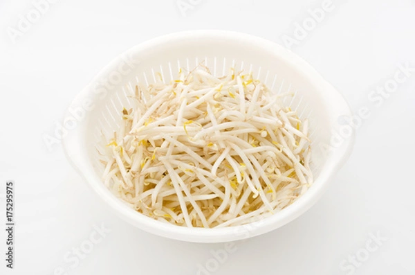 Fototapeta もやし