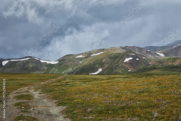 Fototapeta winding dirt path leads through lush green meadows under a cloudy sky. Snow-capped mountains rise majestically in the background, creating a serene atmosphere. Russia, Altai Mountains