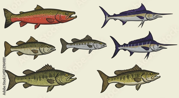 Fototapeta Colorful Illustration of Different Fish Species on Light Background for Marine Life