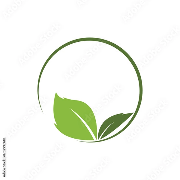 Fototapeta Eco icon green leaf vector illustration