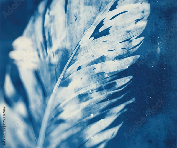 Obraz feather on blue water