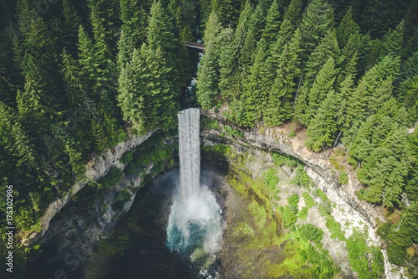Fototapeta Stylized Aerial View of Waterfall in British Columbia Wilderness