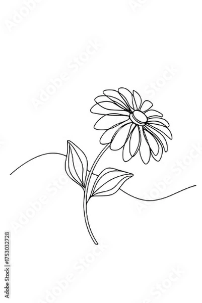 Obraz Minimal line drawing of a daisy flower with leaves  