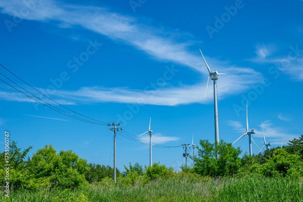 Fototapeta 青空に映える風車