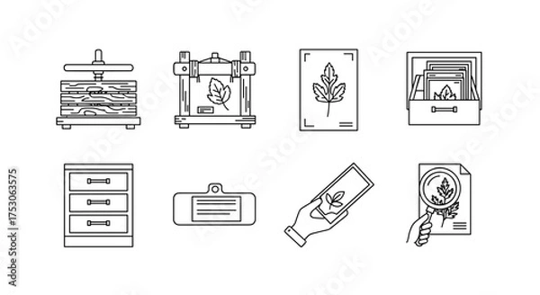 Fototapeta Herbarium creation process outline icon set. Plant press for drying flowers & leaves. Botanical specimen collection for botany science research or hobby. Dried plant archive.