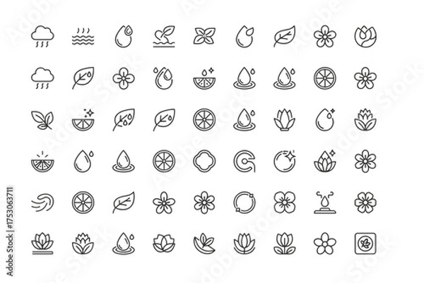 Fototapeta Minimalist natural elements icon set with water droplets, leaves, flowers, citrus slices, rain, and abstract plant symbols for environmental and wellness design