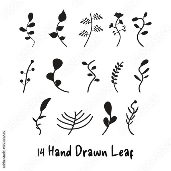 Fototapeta Hand Drawn Leaf Set Vector Illustration