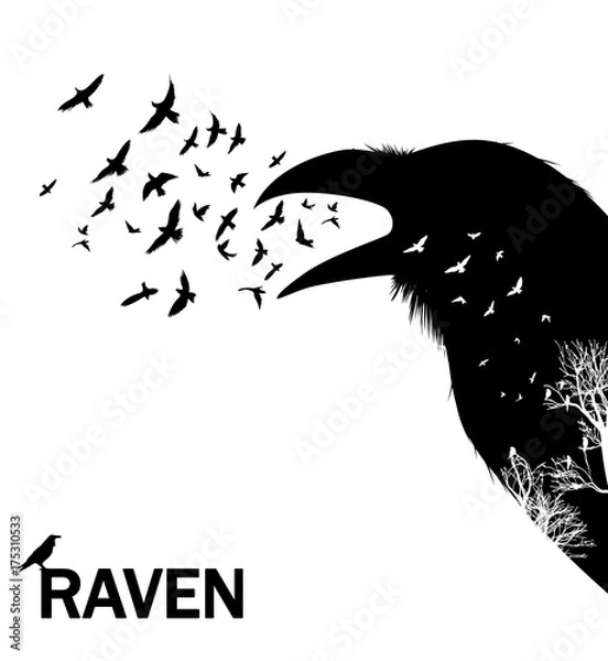 Obraz Croaking crow or raven. Illustration with double exposure effect.