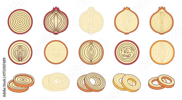 Fototapeta Illustration of various onion cuts, including whole, halved, and sliced, in different colors, arranged in rows on a white background.