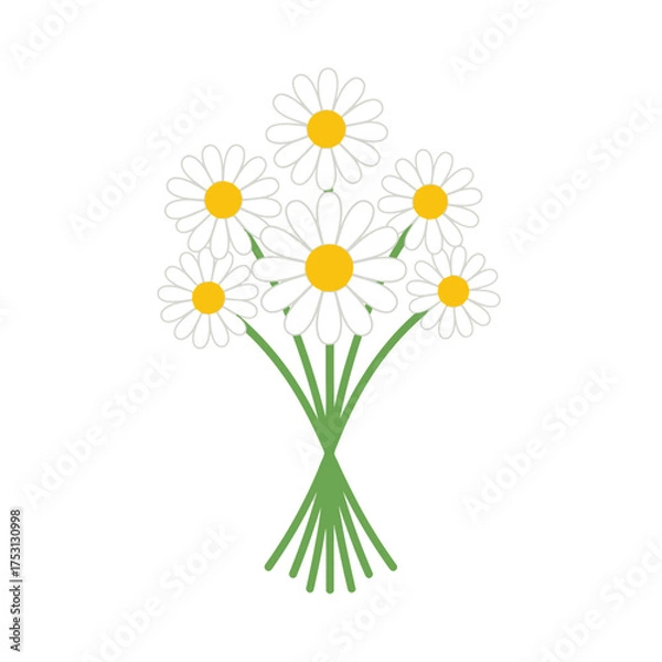 Fototapeta Bouquet of White Daisies with Yellow Centers Tied with Green Stems.