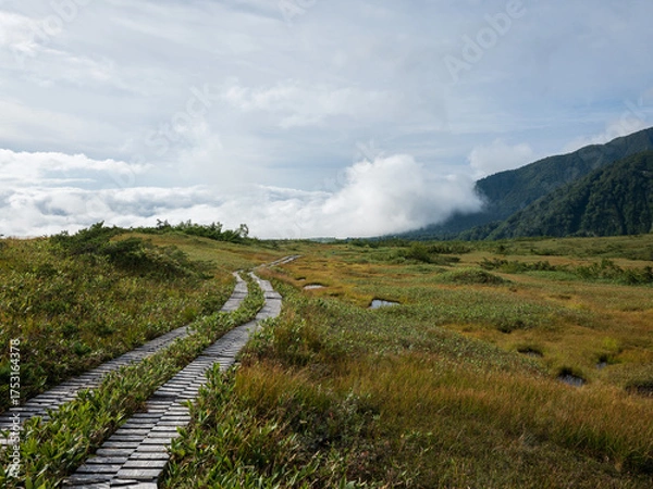 Fototapeta 弥陀ヶ原 立山黒部アルペンルート 富山県立山町