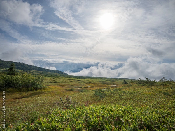 Fototapeta 弥陀ヶ原 立山黒部アルペンルート 富山県立山町
