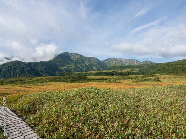 Fototapeta 弥陀ヶ原 立山黒部アルペンルート 富山県立山町