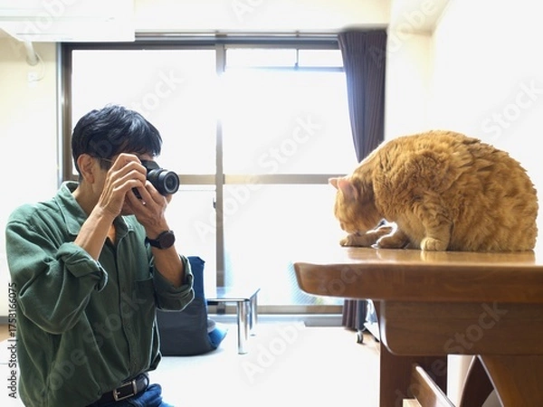 Obraz ペットのねこを撮影する男性