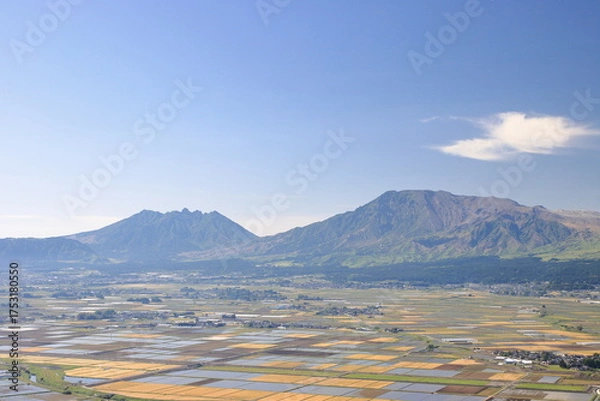 Fototapeta 広がる田園風景
