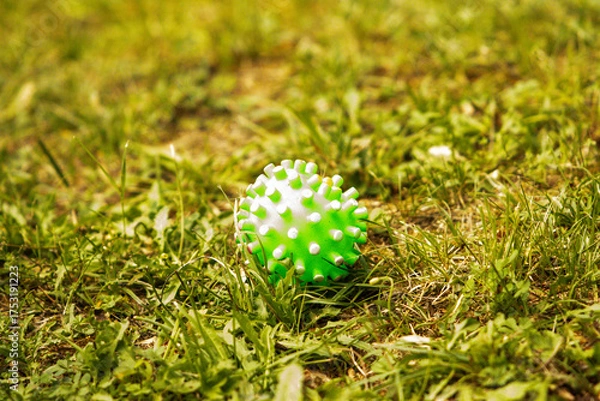 Obraz Green spiked dog ball on a grass field