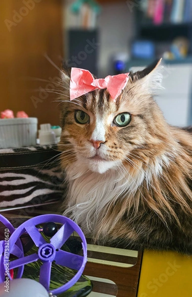 Obraz Kätzchen mit Masche