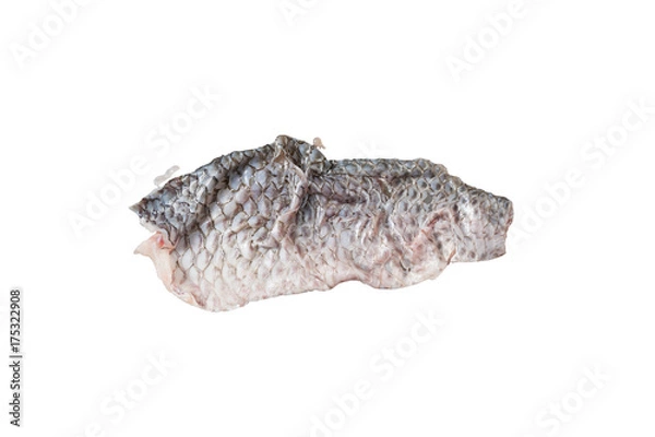 Obraz Nile tilapia fishbone on white background