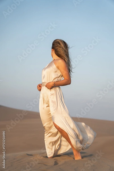 Obraz dunas, atardecer, sunset