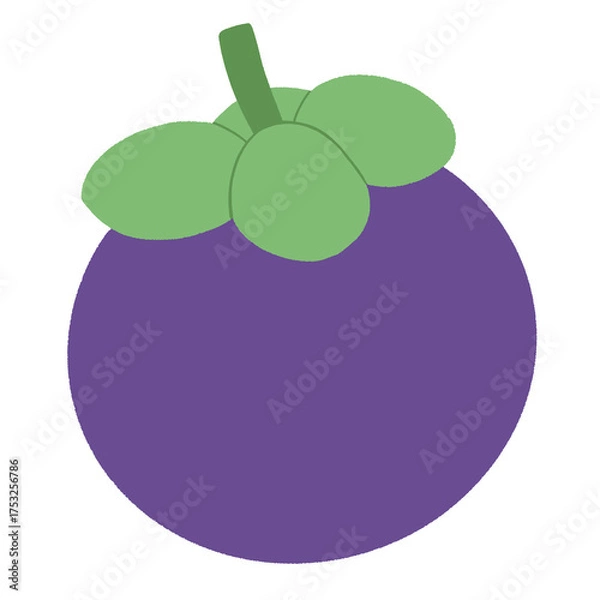 Obraz Mangosteen cartoon 