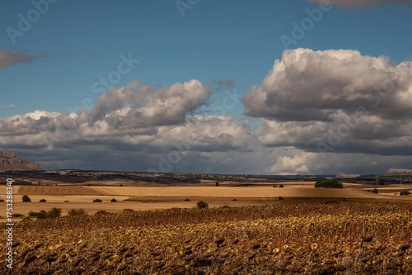 Obraz Landschaft in der Meseta am Jacobsweg in Nordspanien