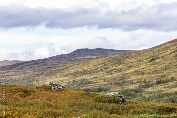 Obraz Swedish wilderness mountain cloudy day landscape first autumn colors.
