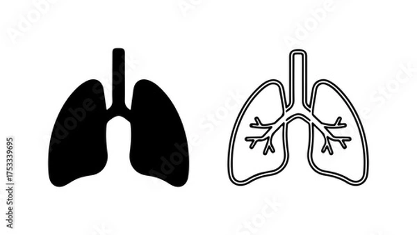 Fototapeta Human lungs outline and solid with transparent background