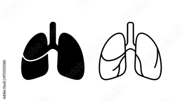 Fototapeta Human lungs outline and solid with transparent background
