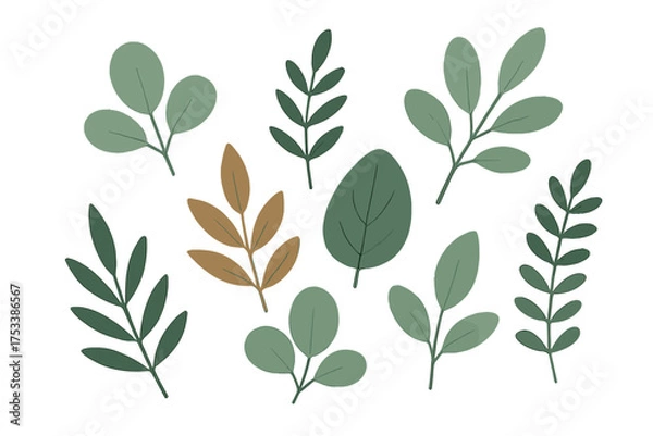 Obraz Assortment of stylized botanical leaves in muted green and brown tones