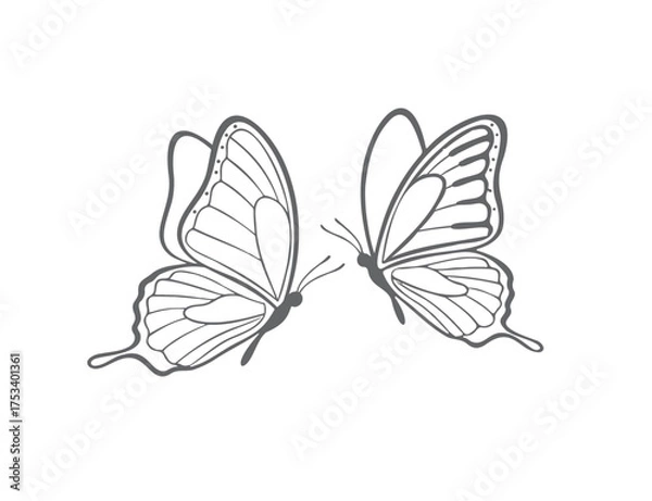 Fototapeta Monochrome Outline Butterfly Pair Vector Illustration Elegant Nature Design

