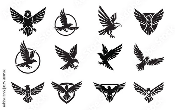 Fototapeta Set of Twelve Black Eagle Vector Logo Illustrations Collection and Symbols

