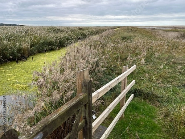 Fototapeta Beautiful landscape of nature reserve marshland with grasses fencing and algae colour water rivelet streams conservation coast area for wildlife in Cley Norfolk uk with grey Autumn sky walk to beach