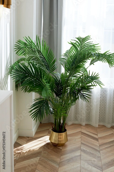 Obraz A palm tree in a golden planter in a bright and spacious room. Style, luxury and minimalism,