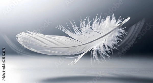 Obraz Delicate white feather gracefully floats in soft light against a gradient background.