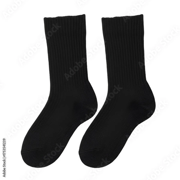 Obraz pair of socks
