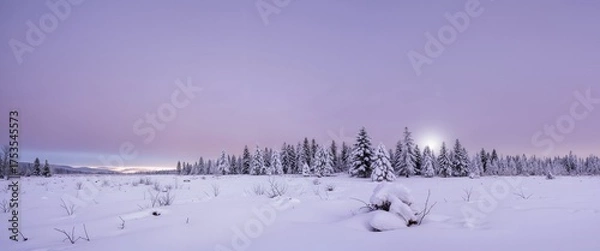 Obraz winter landscape in the mountains
