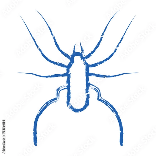 Obraz lue dragonfly insect vector illustration on white a nature inspired bug design symbol