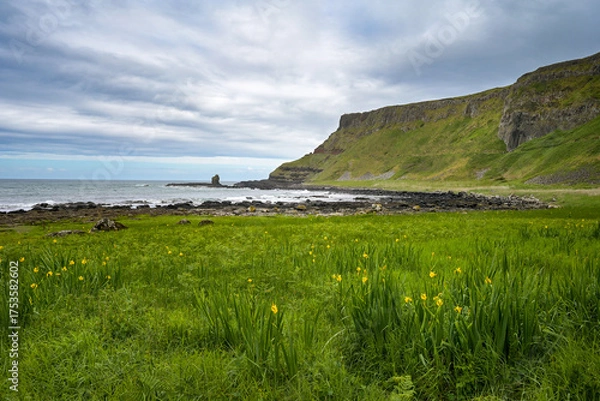 Fototapeta Küstenlandschaft in Nordirland mit Steilküste